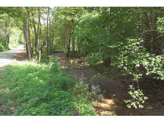 Tract 30 - Timberland & Farmland in Noble County, OH - LAND AUCTION - 12,200+/- ACRES OFFERED IN 65 TRACTS IN NOBLE COUNTY, OHIO
